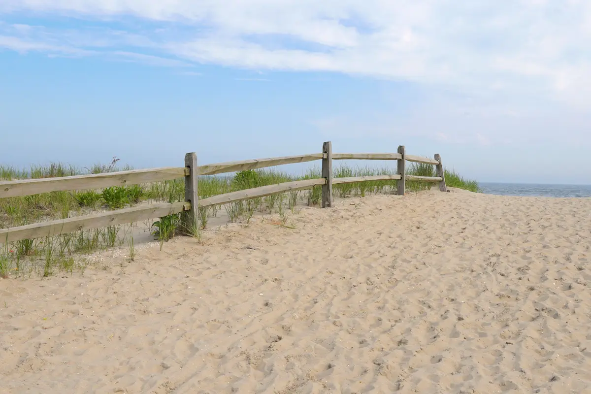 A sand path past a split-rail fence and dune grass, with the ocean just beyond, in Ocean City